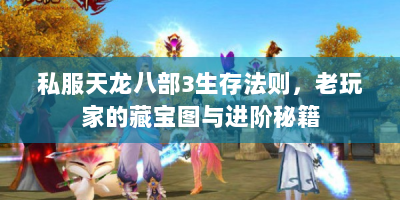 私服天龙八部3生存法则，老玩家的藏宝图与进阶秘籍