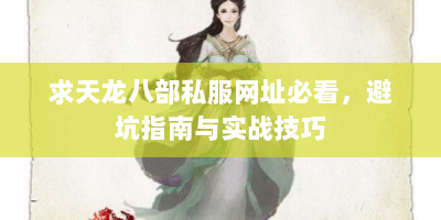 求天龙八部私服网址必看，避坑指南与实战技巧