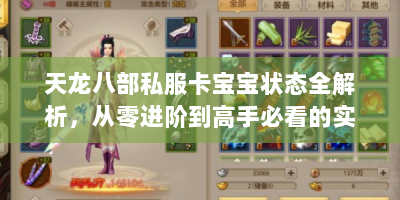 天龙八部私服卡宝宝状态全解析，从零进阶到高手必看的实战秘籍