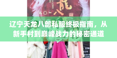 辽宁天龙八部私服终极指南，从新手村到巅峰战力的秘密通道