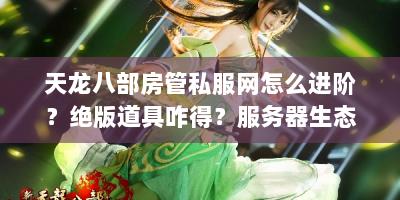 天龙八部房管私服网怎么进阶？绝版道具咋得？服务器生态啥样？