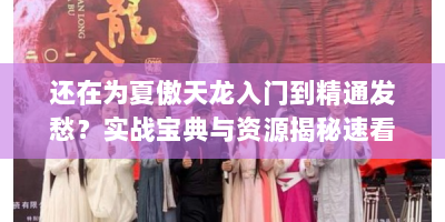 还在为夏傲天龙入门到精通发愁？实战宝典与资源揭秘速看！