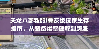 天龙八部私服i骨灰级玩家生存指南，从装备爆率破解到跨服战制的霸技巧