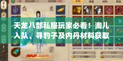 天龙八部私服玩家必看！淘儿入队、寻豹子及内丹材料获取咋做？