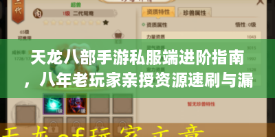 天龙八部手游私服端进阶指南，八年老玩家亲授资源速刷与漏洞规避法则