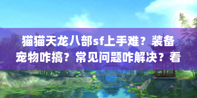 猫猫天龙八部sf上手难？装备宠物咋搞？常见问题咋解决？看这！