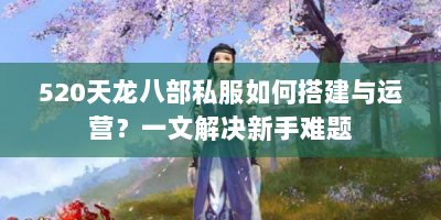 520天龙八部私服如何搭建与运营？一文解决新手难题