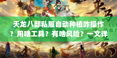 天龙八部私服自动种植咋操作？用啥工具？有啥风险？一文详解