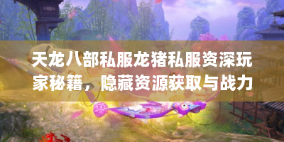 天龙八部私服龙猪私服资深玩家秘籍，隐藏资源获取与战力突破全解析