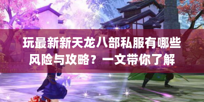 玩最新新天龙八部私服有哪些风险与攻略？一文带你了解