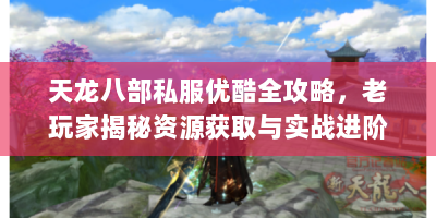 天龙八部私服优酷全攻略，老玩家揭秘资源获取与实战进阶