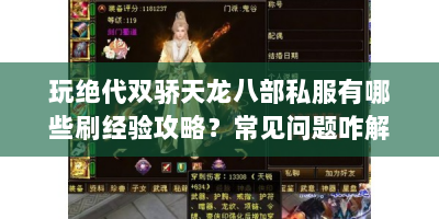 玩绝代双骄天龙八部私服有哪些刷经验攻略？常见问题咋解决？