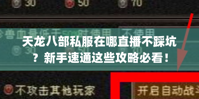 天龙八部私服在哪直播不踩坑？新手速通这些攻略必看！