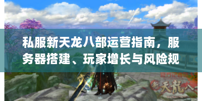 私服新天龙八部运营指南，服务器搭建、玩家增长与风险规避全解析