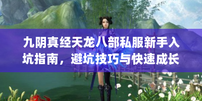 九阴真经天龙八部私服新手入坑指南，避坑技巧与快速成长攻略