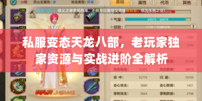 私服变态天龙八部，老玩家独家资源与实战进阶全解析
