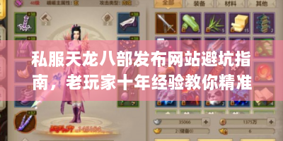 私服天龙八部发布网站避坑指南，老玩家十年经验教你精准获取稀有资源