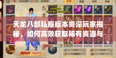 天龙八部私服版本资深玩家揭秘，如何高效获取稀有资源与隐藏玩法