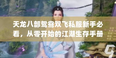 天龙八部鸳鸯双飞私服新手必看，从零开始的江湖生存手册