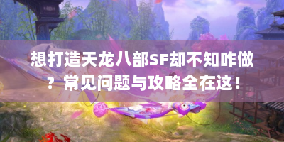 想打造天龙八部SF却不知咋做？常见问题与攻略全在这！