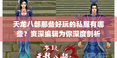 天龙八部那些好玩的私服有哪些？资深编辑为你深度剖析