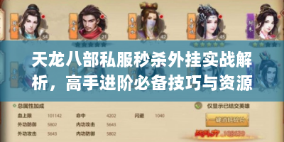 天龙八部私服秒杀外挂实战解析，高手进阶必备技巧与资源获取指南