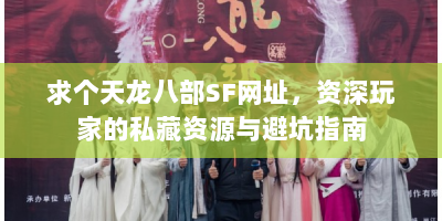 求个天龙八部SF网址，资深玩家的私藏资源与避坑指南