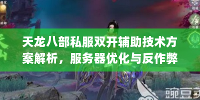 天龙八部私服双开辅助技术方案解析，服务器优化与反作弊实战指南