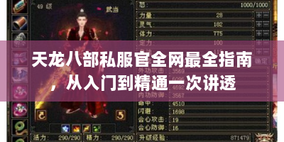 天龙八部私服官全网最全指南，从入门到精通一次讲透