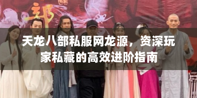 天龙八部私服网龙源，资深玩家私藏的高效进阶指南