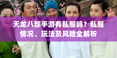 天龙八部手游有私服吗？私服情况、玩法及风险全解析