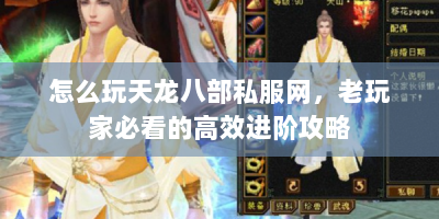怎么玩天龙八部私服网，老玩家必看的高效进阶攻略