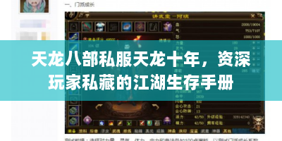 天龙八部私服天龙十年，资深玩家私藏的江湖生存手册