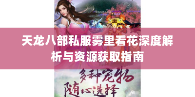 天龙八部私服雾里看花深度解析与资源获取指南