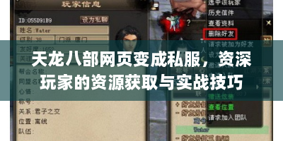 天龙八部网页变成私服，资深玩家的资源获取与实战技巧