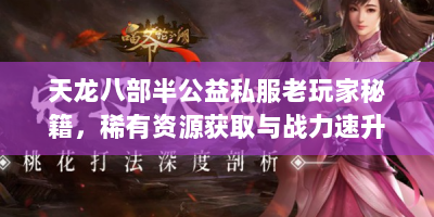 天龙八部半公益私服老玩家秘籍，稀有资源获取与战力速升全攻略