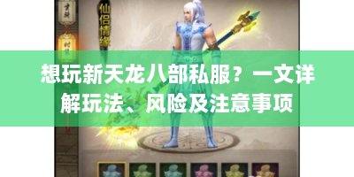 想玩新天龙八部私服？一文详解玩法、风险及注意事项