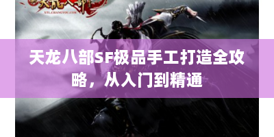 天龙八部SF极品手工打造全攻略，从入门到精通