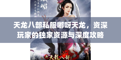 天龙八部私服嘟呀天龙，资深玩家的独家资源与深度攻略