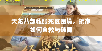天龙八部私服死区困境，玩家如何自救与破局