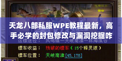 天龙八部私服WPE教程最新，高手必学的封包修改与漏洞挖掘咋操作？