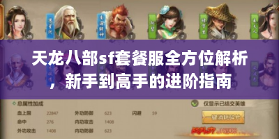 天龙八部sf套餐服全方位解析，新手到高手的进阶指南