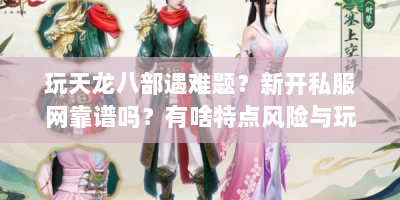 玩天龙八部遇难题？新开私服网靠谱吗？有啥特点风险与玩法？