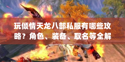 玩倾情天龙八部私服有哪些攻略？角色、装备、取名等全解析