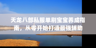 天龙八部私服单刷宝宝养成指南，从零开始打造最强辅助