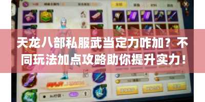 天龙八部私服武当定力咋加？不同玩法加点攻略助你提升实力！