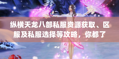 纵横天龙八部私服资源获取、区服及私服选择等攻略，你都了解吗？