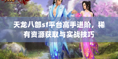 天龙八部sf平台高手进阶，稀有资源获取与实战技巧