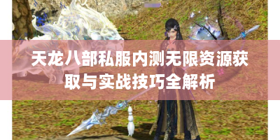 天龙八部私服内测无限资源获取与实战技巧全解析