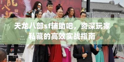 天龙八部sf辅助吧，资深玩家私藏的高效实战指南